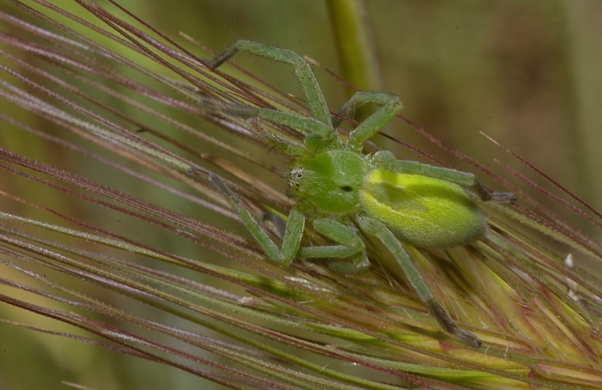 Che cosa chiamiamo davvero natura?